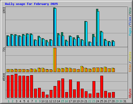 Daily usage for February 2025