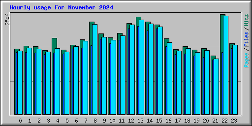 Hourly usage for November 2024