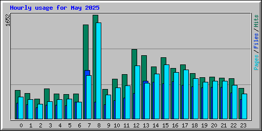 Hourly usage for May 2025