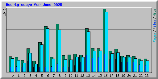 Hourly usage for June 2025