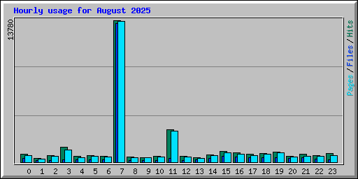 Hourly usage for August 2025