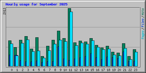 Hourly usage for September 2025